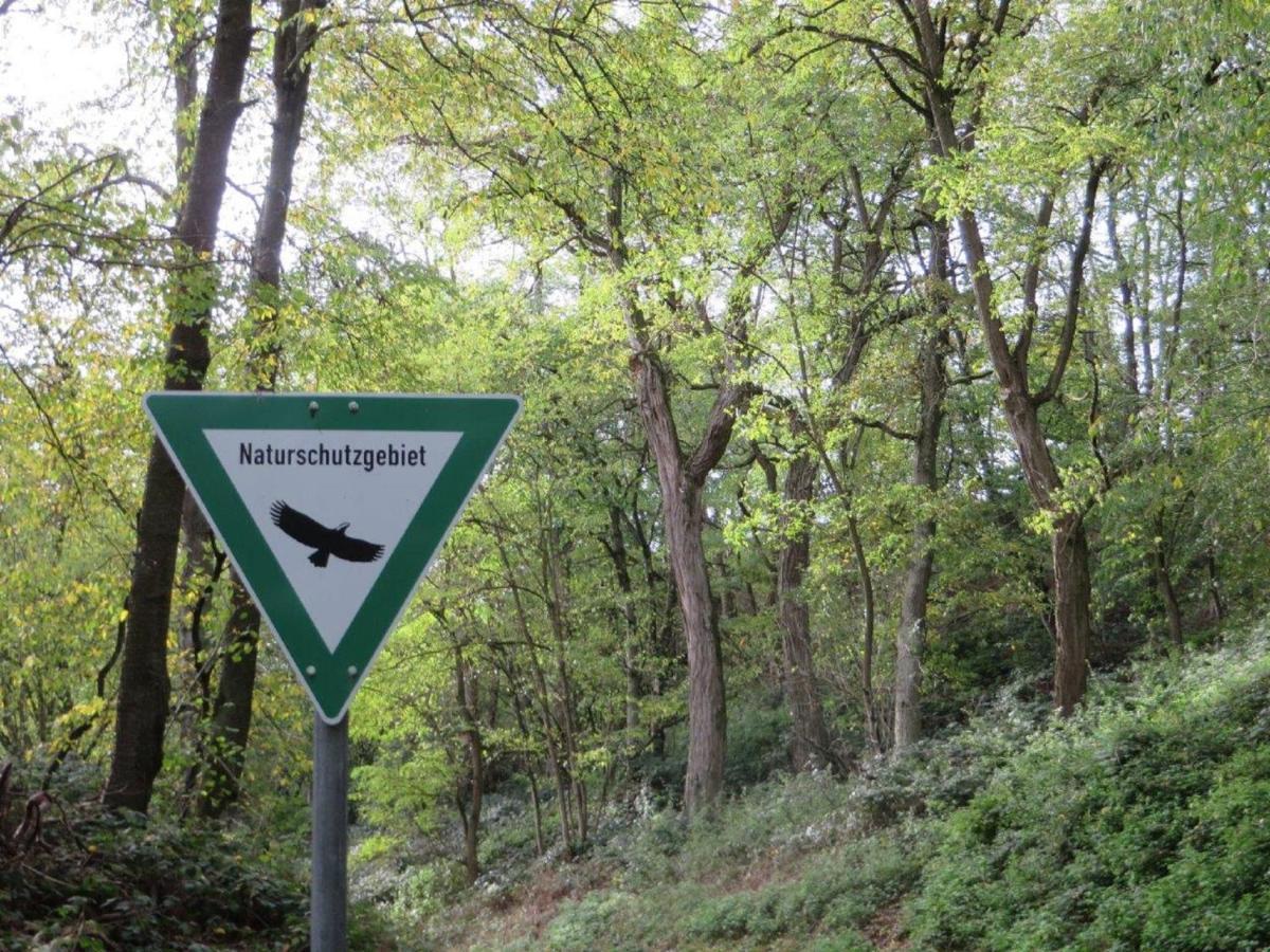 Ferienwohnung Familie Buchner Großheubach 외부 사진
